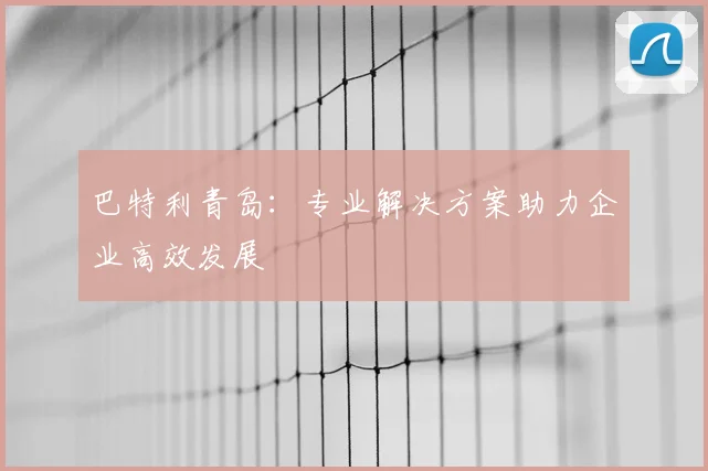 巴特利青岛：专业解决方案助力企业高效发展