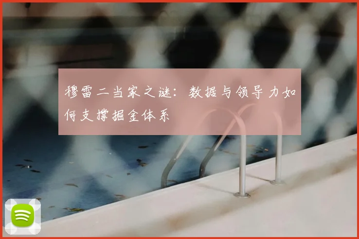 穆雷二当家之谜:数据与领导力如何支撑掘金体系